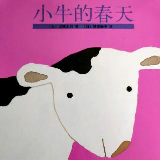 儿童绘本故事《小牛的春天》