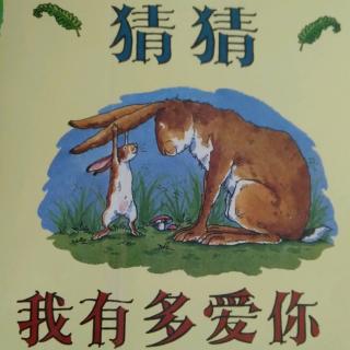 猜猜我有多爱你