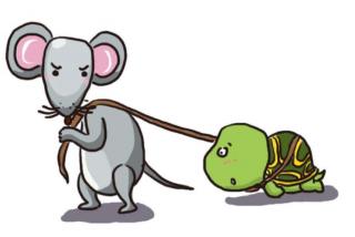 金鼎实验幼儿园睡前故事596—《小老鼠和乌龟》