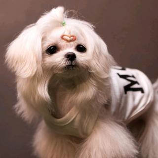 三令五申