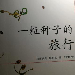 一粒種子的旅行