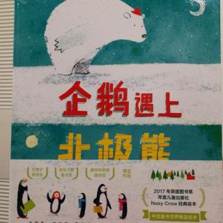 企鹅🐧遇上北极熊🐻