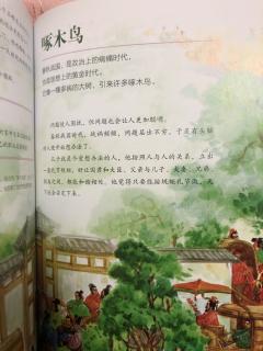 写给儿童的中国历史～啄木鸟