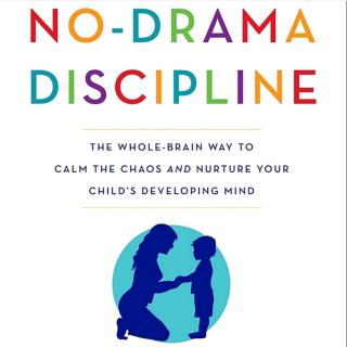 2-5 No-Drama Disciline Builds the Brain