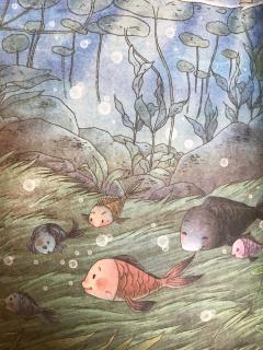 睡前故事959小巴掌童话之《池塘里一群你追我赶转着圈的鱼》