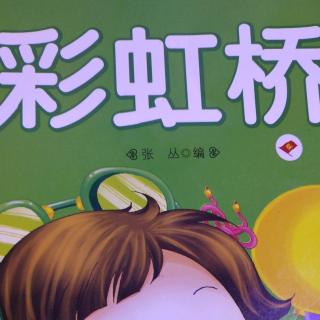 彩虹桥，张晗希371字