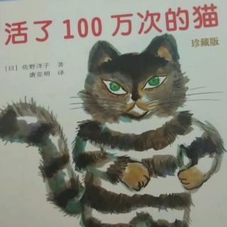 活了100万次的猫🐱