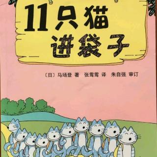 故事728-小迪老师-11只猫进袋子