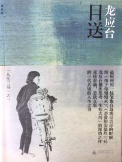 龙应台~蔚蓝