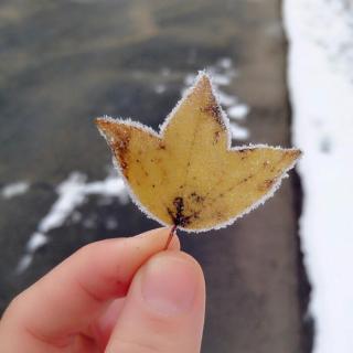 《古韵悠扬》丨第六期：初雪