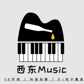 3D环绕～体面（西东）Music