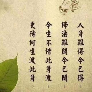 一起诵读，唤醒迷失的爱