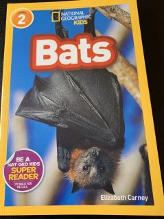 Bats