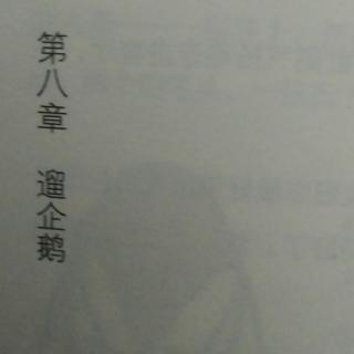 《波普先生的企鹅》第8章