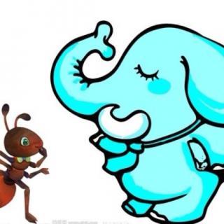 蚂蚁和大象比力量