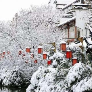 《江南的雪》碑林路人