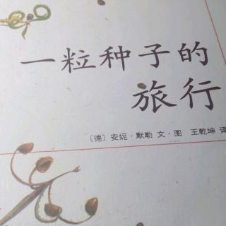 一粒种子的旅行