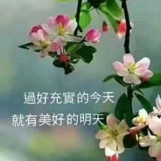 《赶婆婆》作者：古稀金童  朗诵：玫瑰伊人