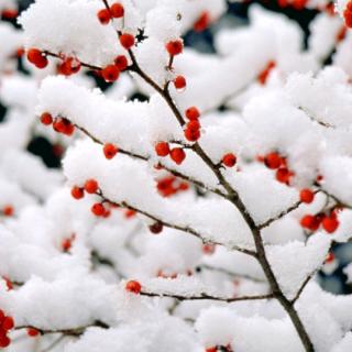 《雪知道》雪小禅