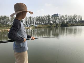 《山坡羊. 潼关怀古》