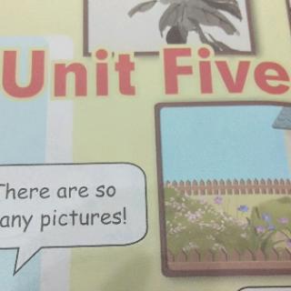 Unit  Five