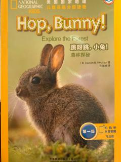 Hop bunny