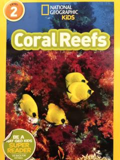 Dec7 Eric25(Coral Reefs 3)