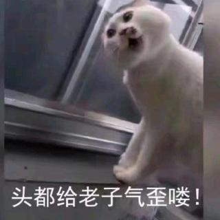 小巴掌童话七狐狸啊红的三件好事