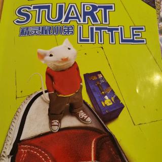 Stuart Little 2