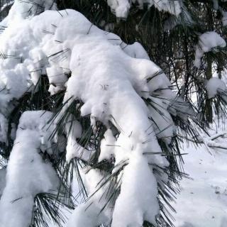 韩君祥《大雪》