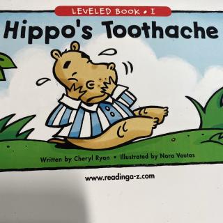 Hippo' toothache