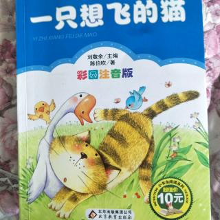 一只想飞的猫