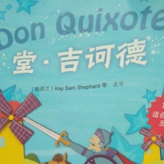 Don Quixote soya 12.7