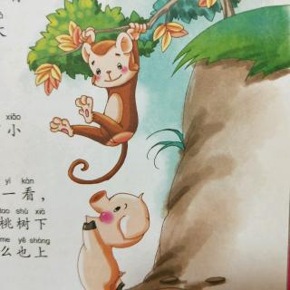 小猴的生日