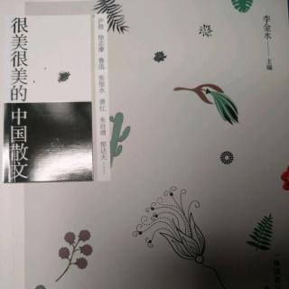 很美很美的中國散文:故鄉(xiāng)(中)