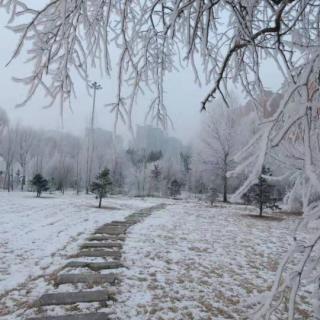 《大雪》朱伟