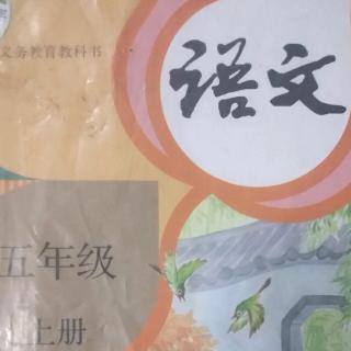 《鸟的天堂》