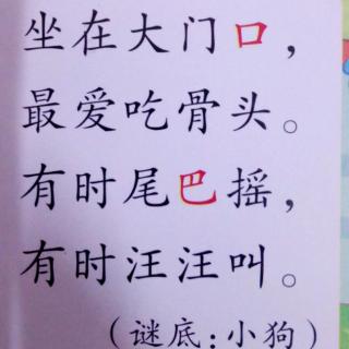 谜语(小狗)一一辰