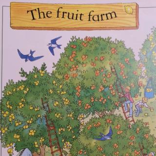 Harry-英文05-The fruit farm