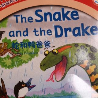 Harry英文07-The Snake and tHe Drake