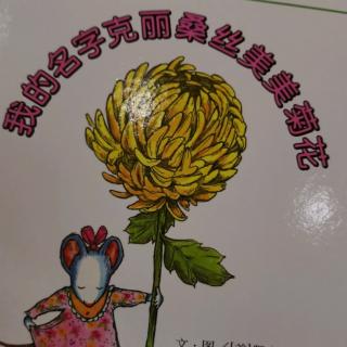 我的名字克里桑丝美美菊花