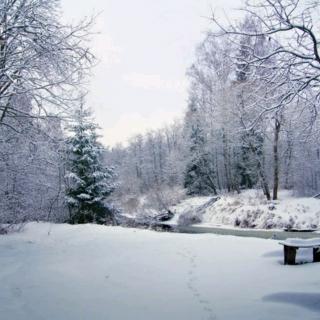 雪知道      雪小禅