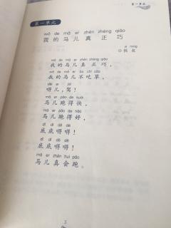 1.我的马儿真正巧（二年级）