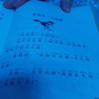 刘航宇课外阅读打卡第84天《狐狸有一对翅膀》