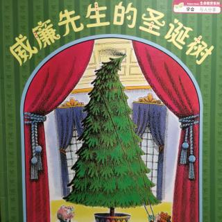 威廉先生的圣诞树🎄