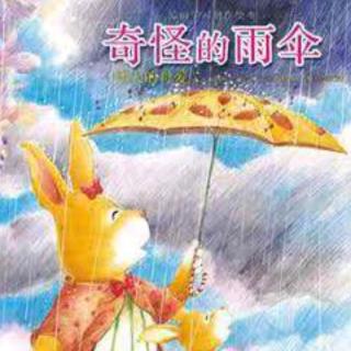 奇妙的雨伞