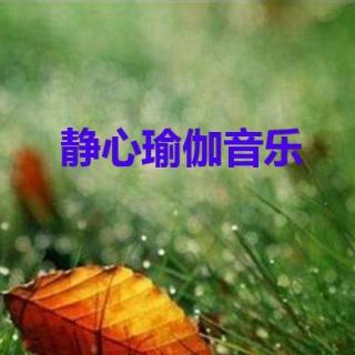 静心瑜伽纯音乐：02