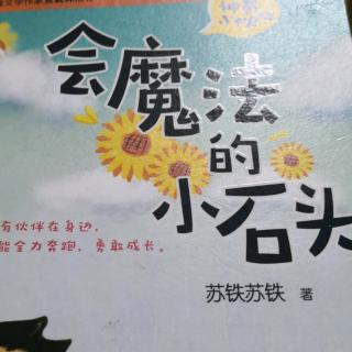 《会魔法的小石头》张景皓