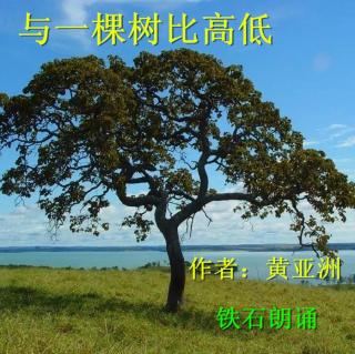 《与一棵树比高低》作者：黄亚洲 ；铁石朗诵 