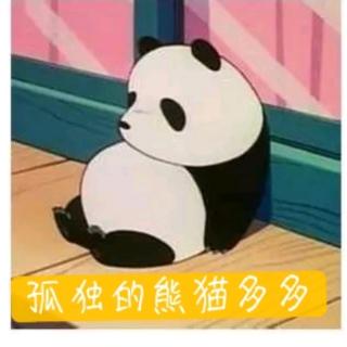 济南市莱芜区高庄中幼童心故事汇《孤独的熊猫多多》